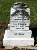 image of grave number 895173